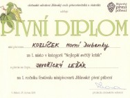 Jihlavské pábení 2011