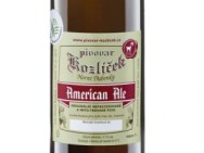 American Ale 1 litr sklo patent